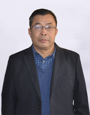 總經(jīng)理 田健